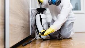 Best Termite Inspection and Treatment  in Long View, NC